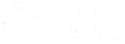 Bennu Valve